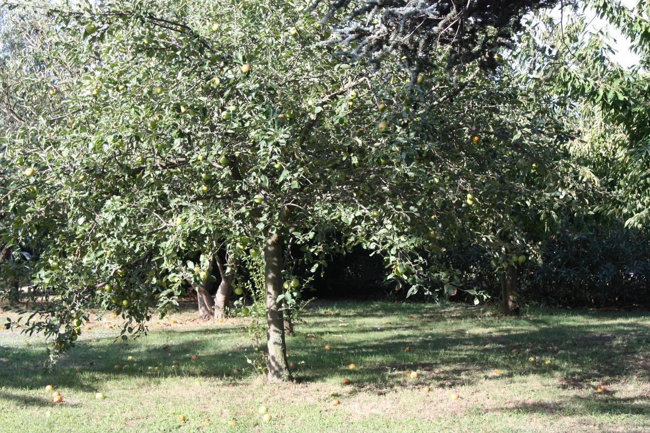 La Villa Blanc (Adults Only) Conques-sur-Orbiel Extérieur photo